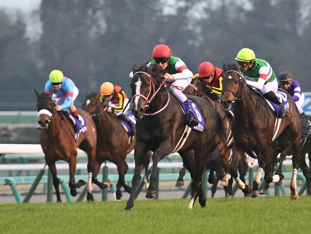 ゆん 日立建機 ZX135US-5B | 千葉県の油圧ショベル(ユンボ) | BIGLEMON