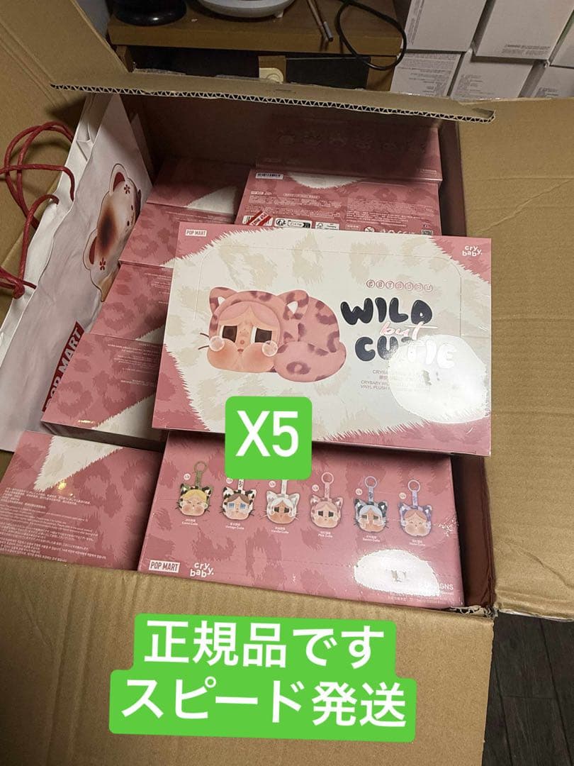 CRY BABY WILD BUT CUTIE 新品未開封　5box