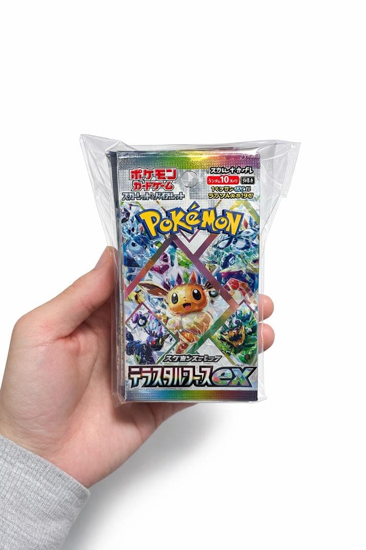 未サーチ10バックポケモンカードゲーム デジタルフルス EX ボックス