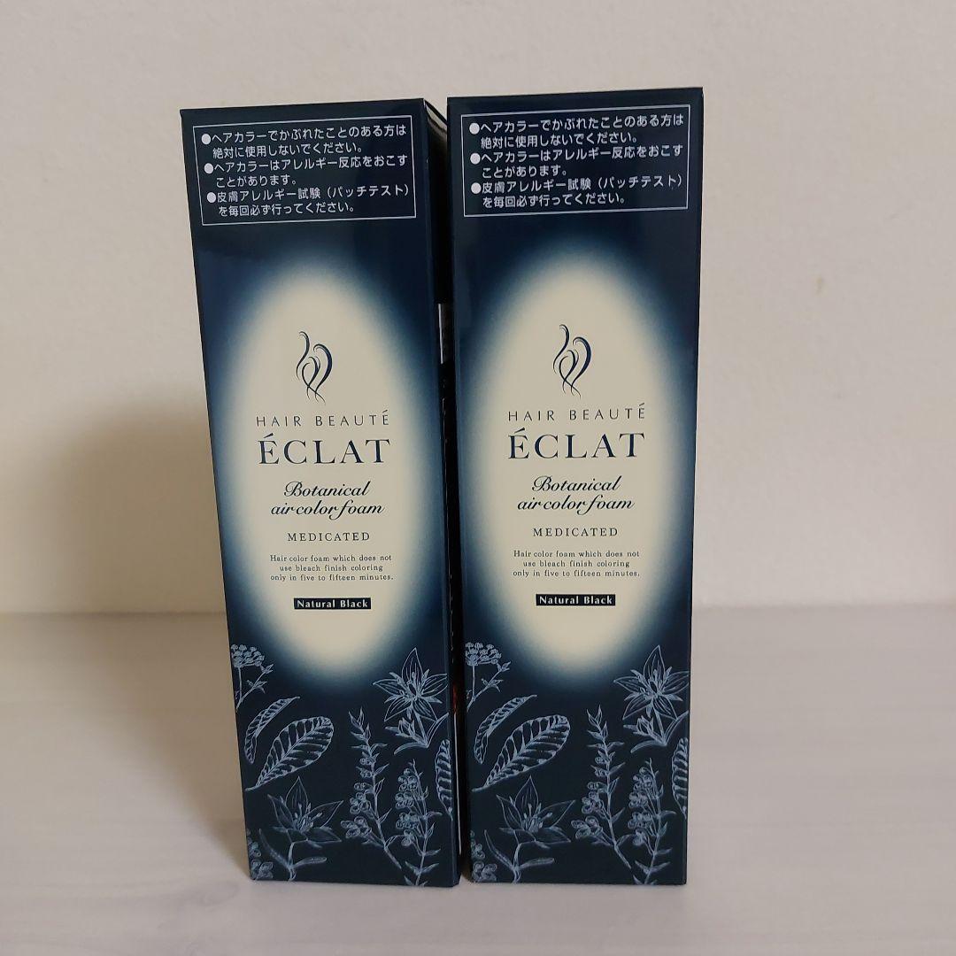 ヘアボーテ　エクラ　ボタニカルエアカラーフォーム　ブラック　150g 2本