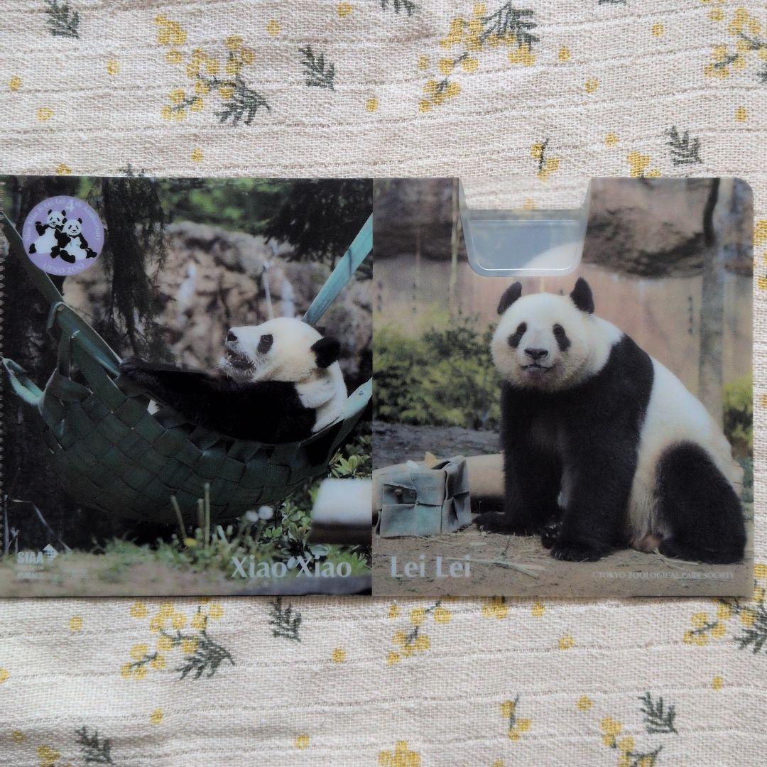 上野動物園 シャオシャオ レイレイ 非売品 クリアファイル パンダ