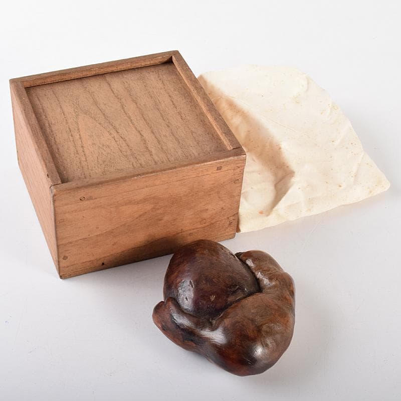 中国　唐木天然木瘤木　紙鎮　置物　V　R5131