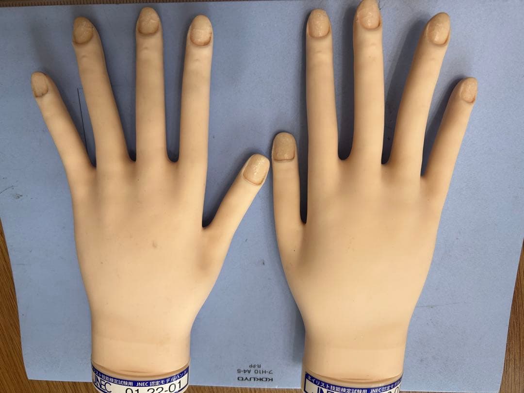 JNEC認定モデルハンド　練習用