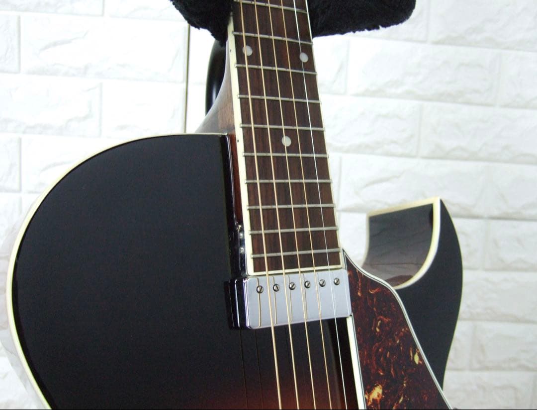 LOAR LH-350-VS フルアコースティックギター - メルカリ