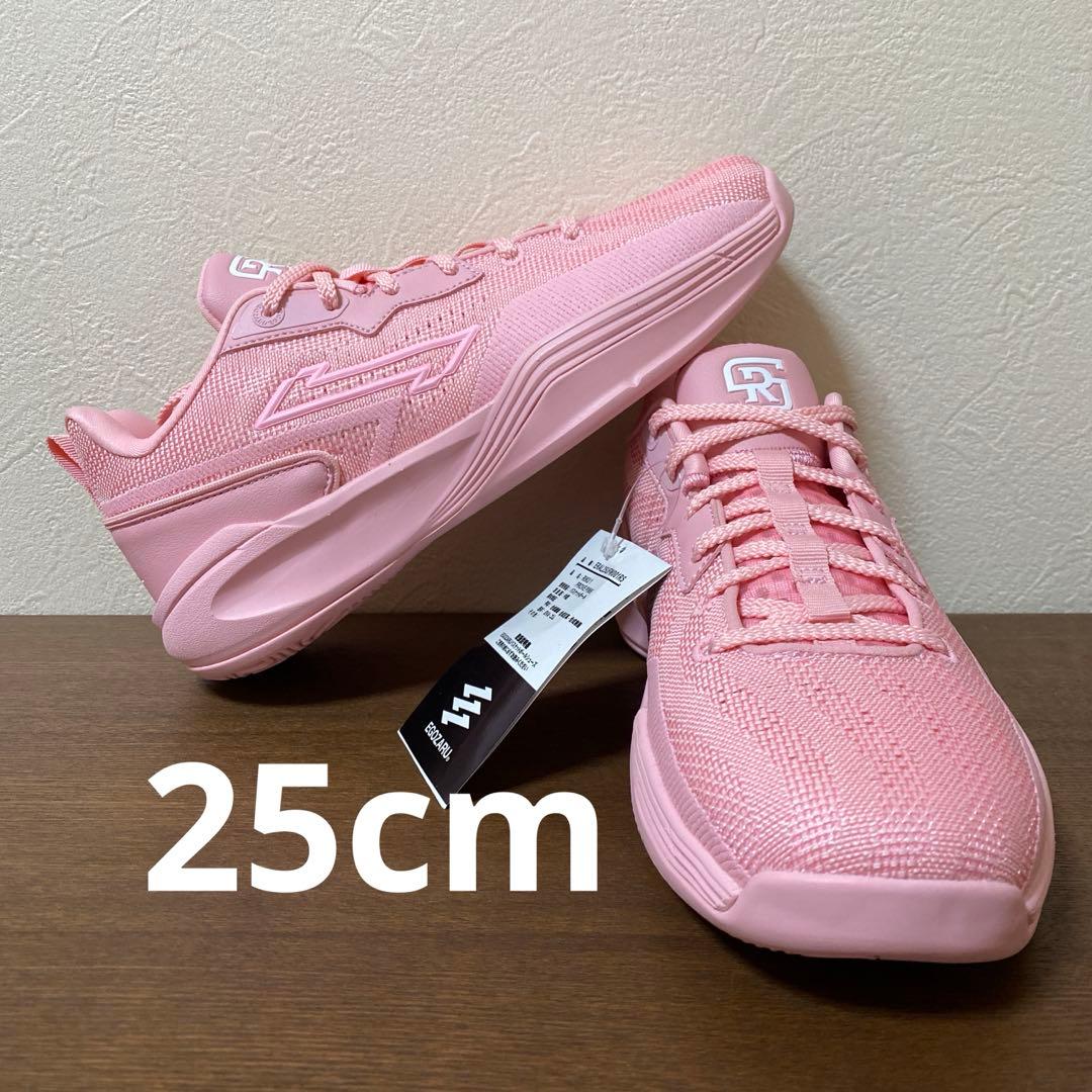 EGOZARU RIKU1 エゴザル リク1 バッシュ 25cm エゴザル（EGOZARU）（メンズ、レディース）バスケットシューズ