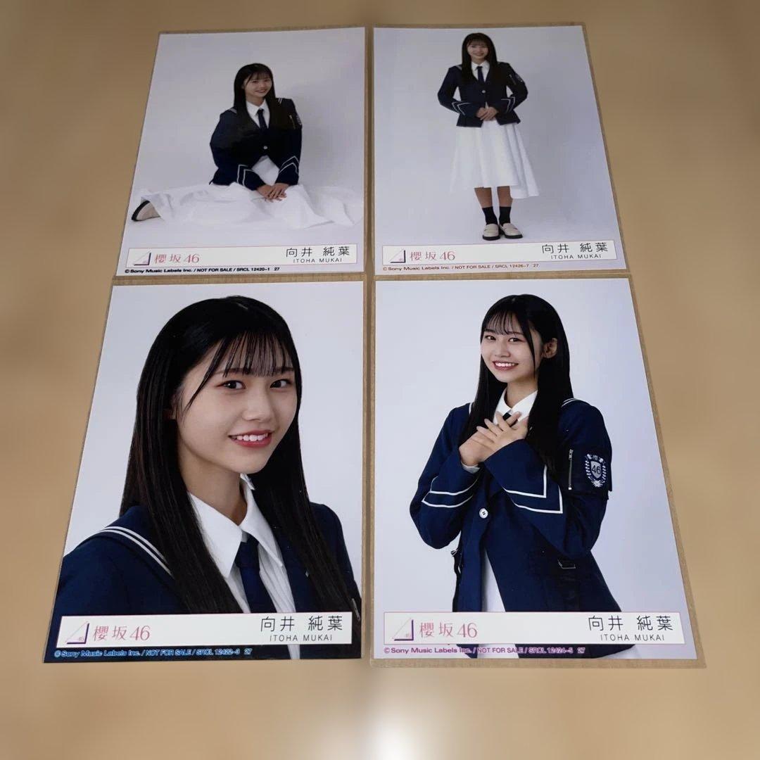 向井純葉 櫻坂46 桜月封入生写真 コンプ - メルカリ