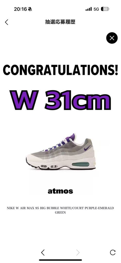 Nike Air Max 95 Grape 31cm ナイキ エアマックス
