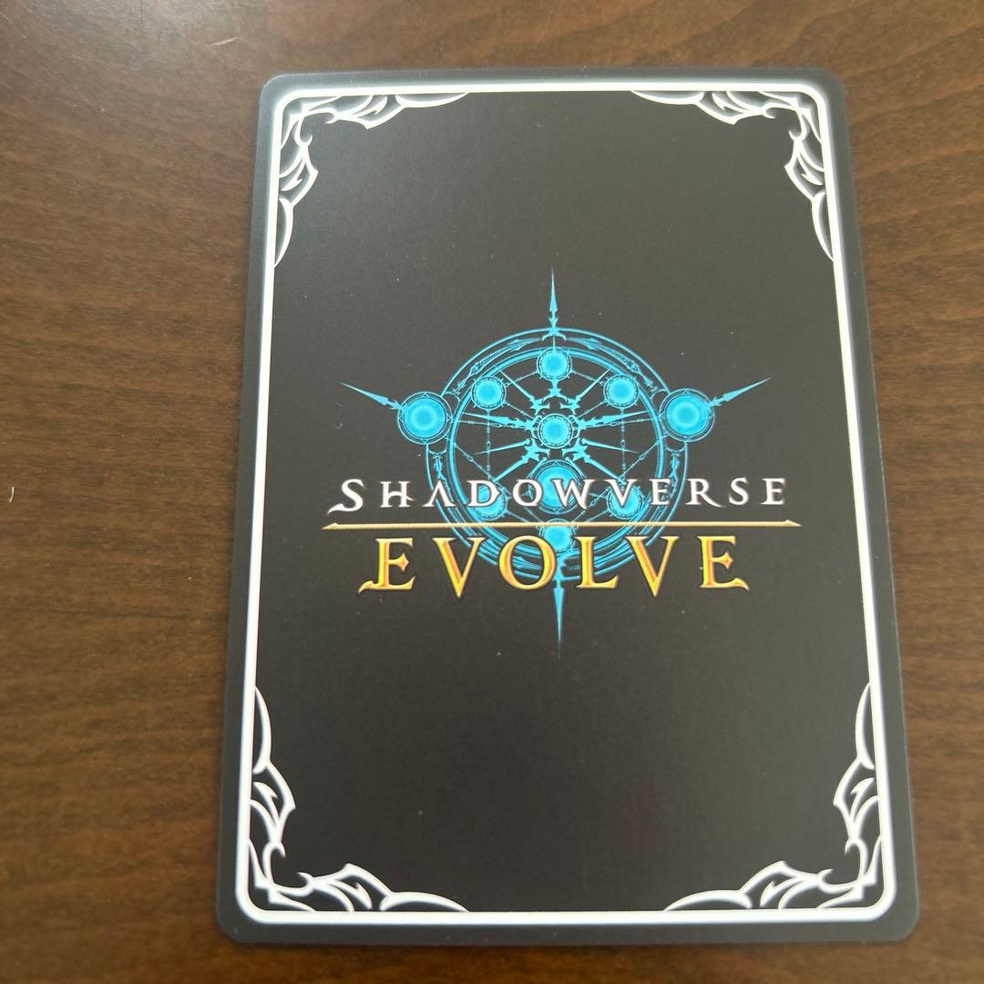 シャドウバースエボルヴ プリコネ ランファ&ミソラ UR - メルカリ