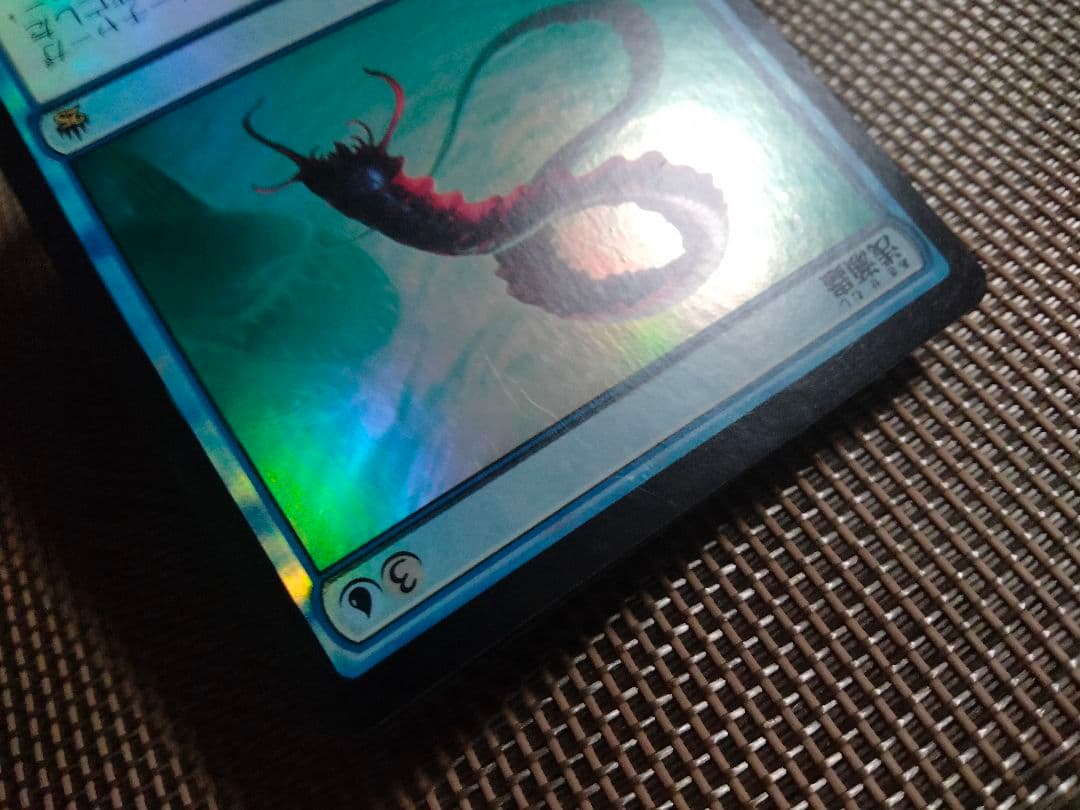 マスターズ25th foil 浅瀬蟲a 日本語 1枚 MTG - メルカリ