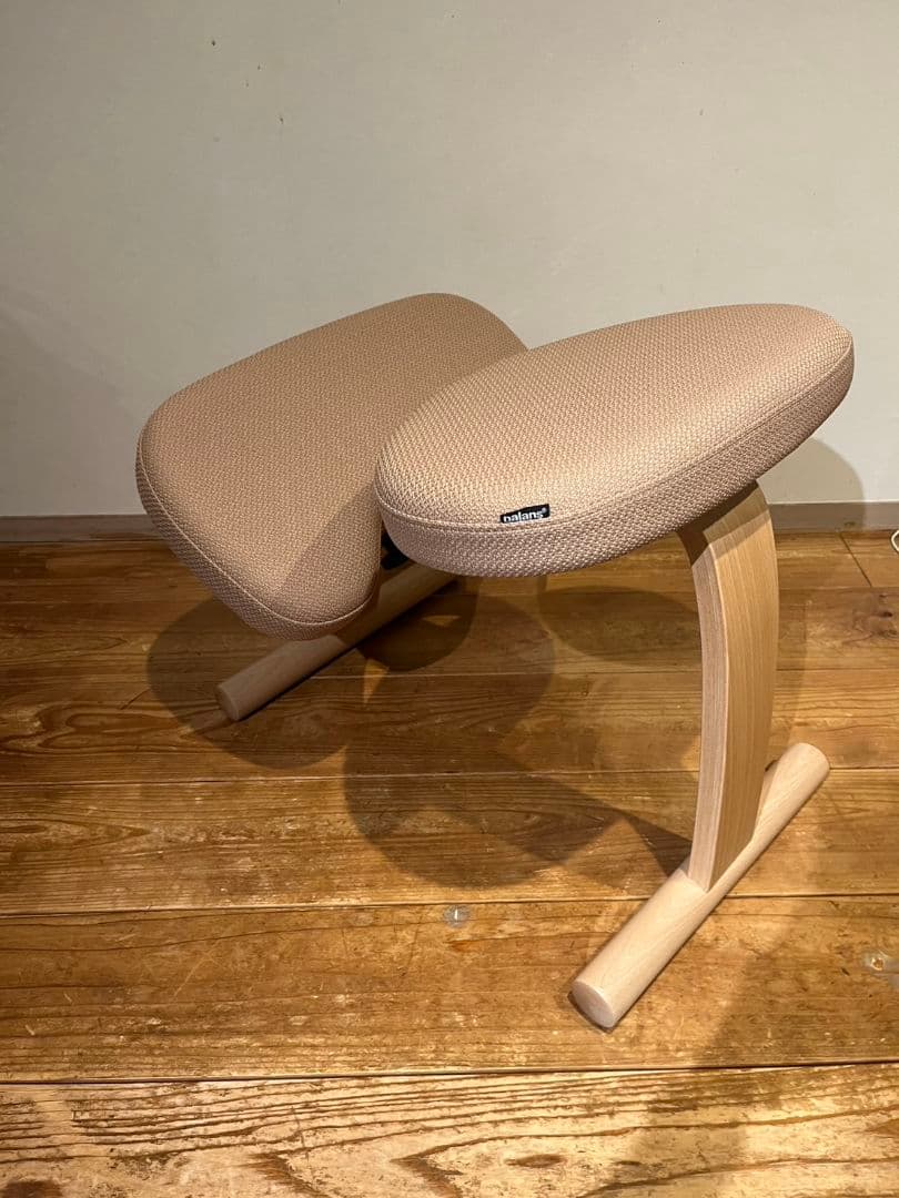 バランスラボ バランスイージー 通常フレーム