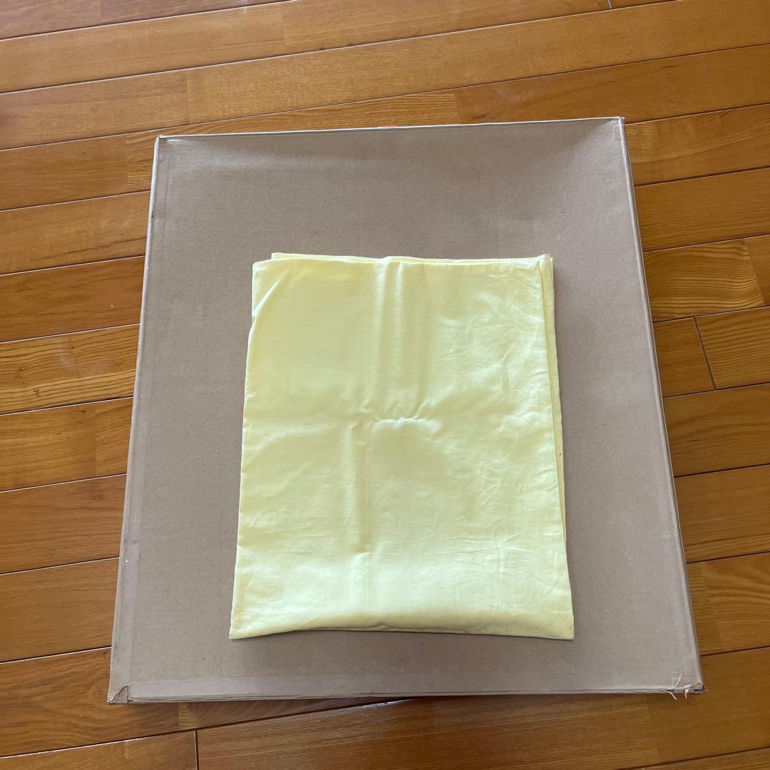 宇田喜久子　睡蓮　初夏　油彩画