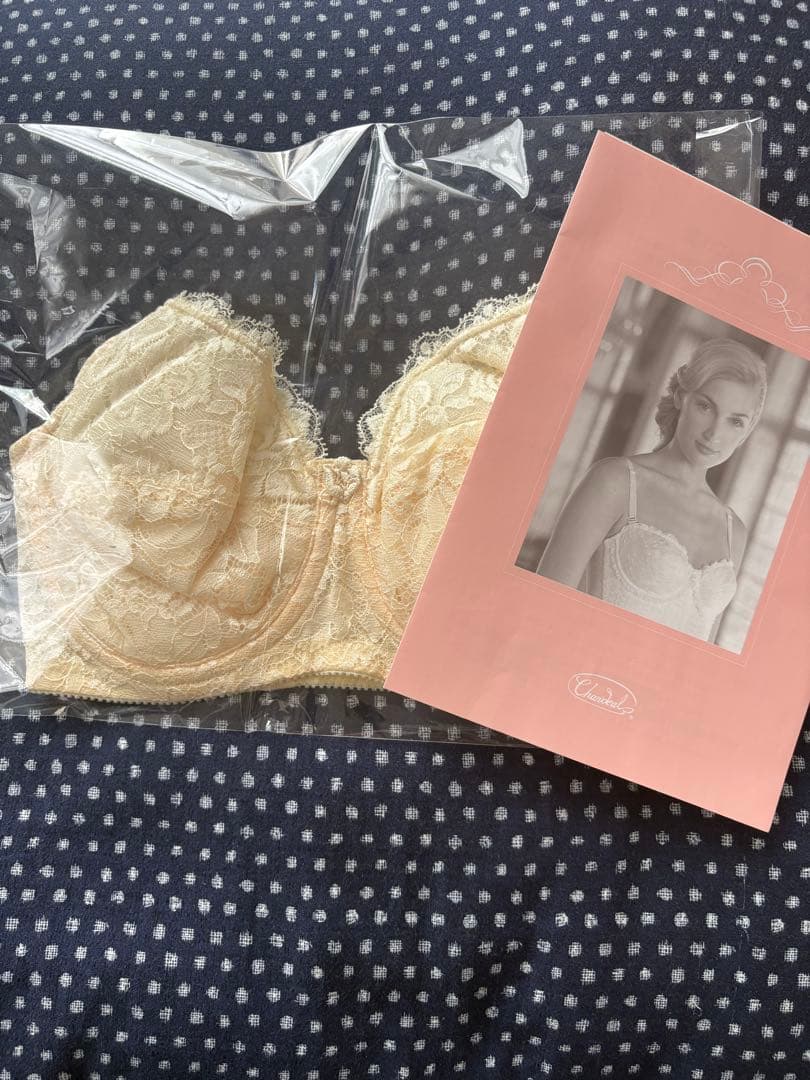 シャンデール　ブラ新品未使用 Yahoo!オークション -「シャンデール 新品」の落札相場・落札価格