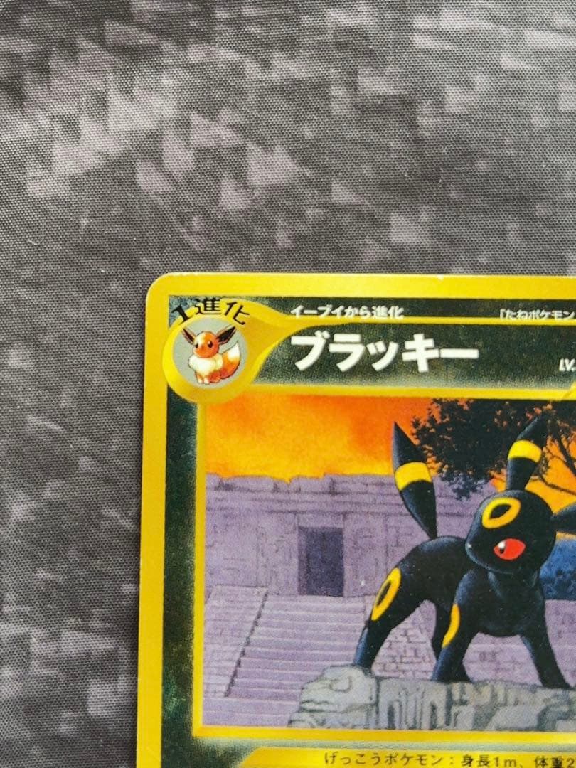 ブラッキー_プレミアムファイル2 PROMO 第2世代（☆neo・☆VS・☆w