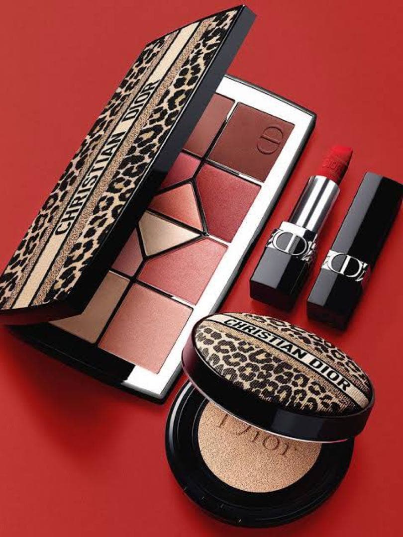 DIOR DIORSHOW 10 COULEURS アイシャドウパレット