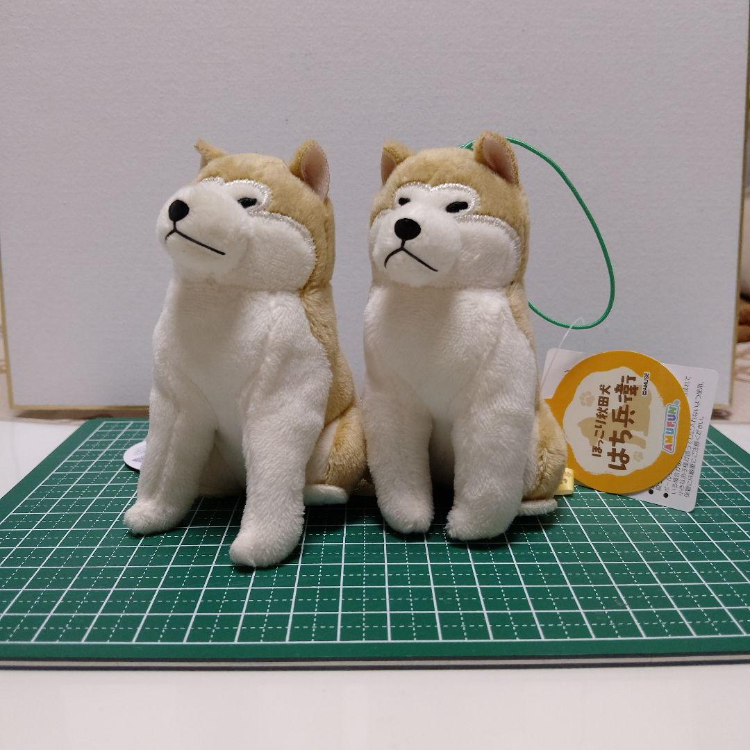 ほっこり秋田犬 はち兵衛 ぬいぐるみキーホルダー - メルカリ