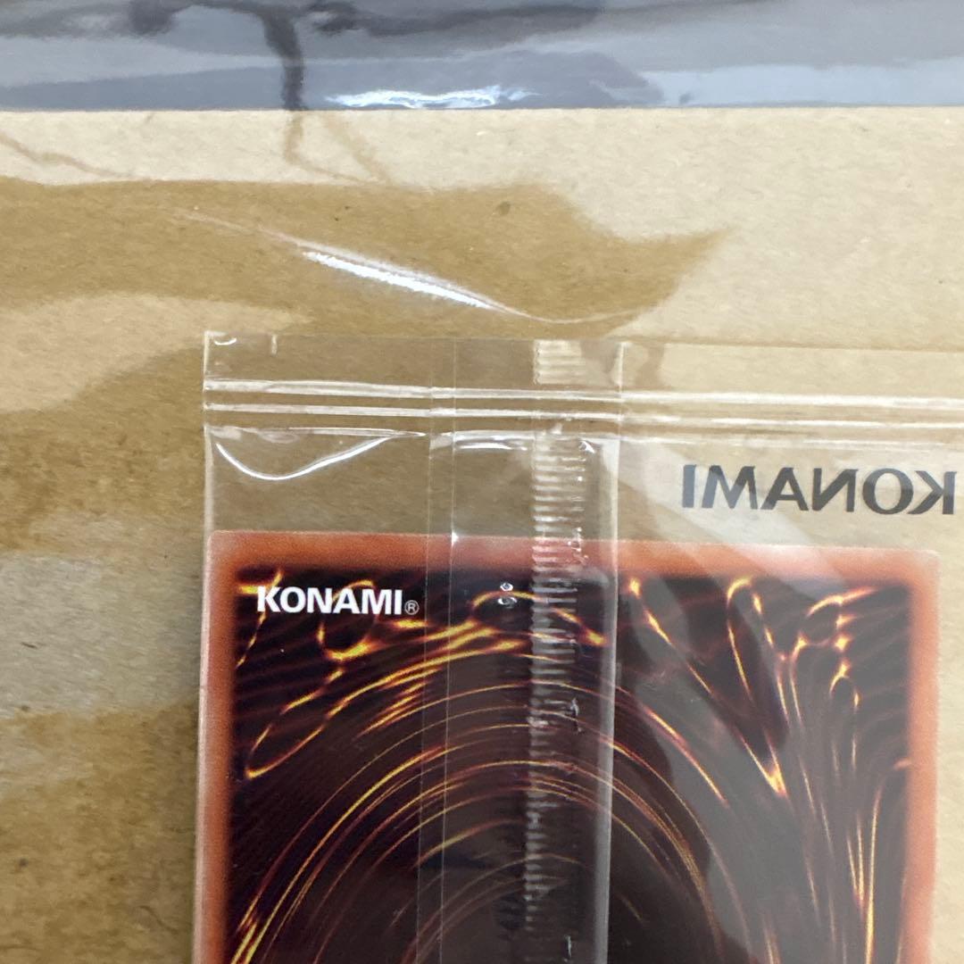 当選通知書付き】青眼の亜白龍 ブルシク ブルーシークレット - メルカリ