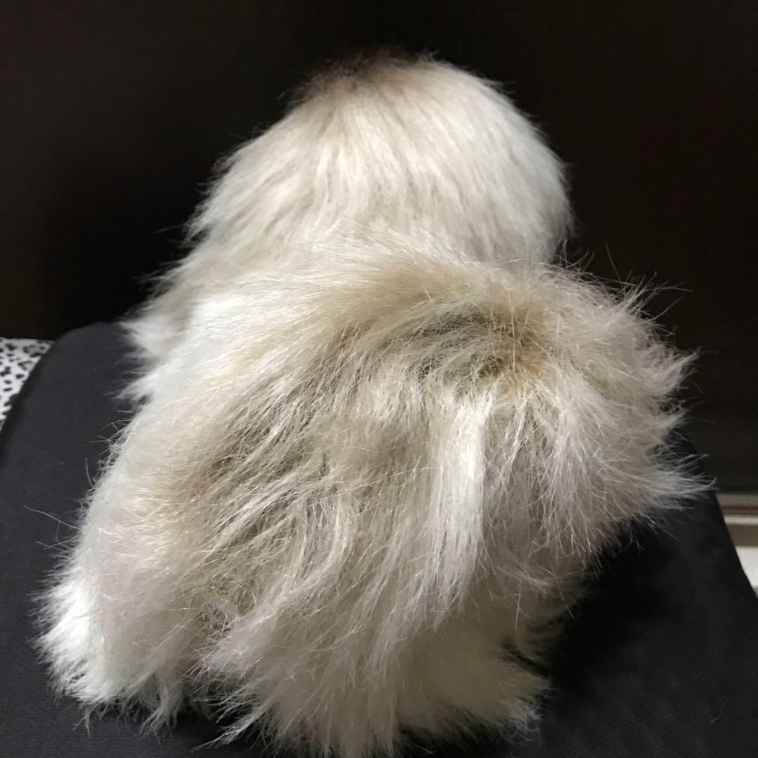 ぬいぐるみ 犬 いぬ ペキニーズ リーベ 日本製❣️ - メルカリ