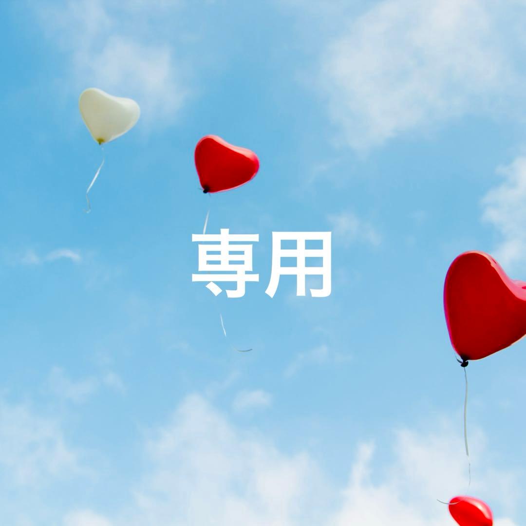 ニナファーム アクティアージュ エフェクティブ＋ 赤美容液【2点】