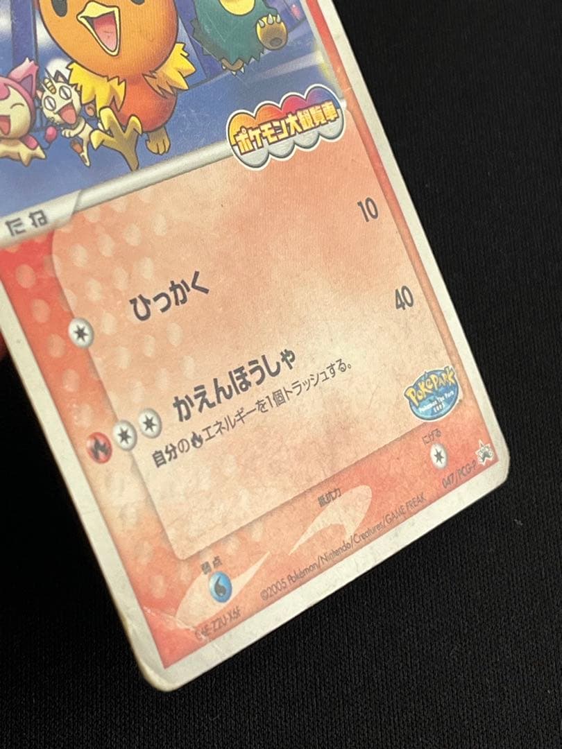 ポケパークのアチャモ - メルカリ