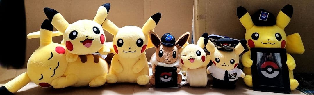 ポケモン ぬいぐるみ セット 限定あり