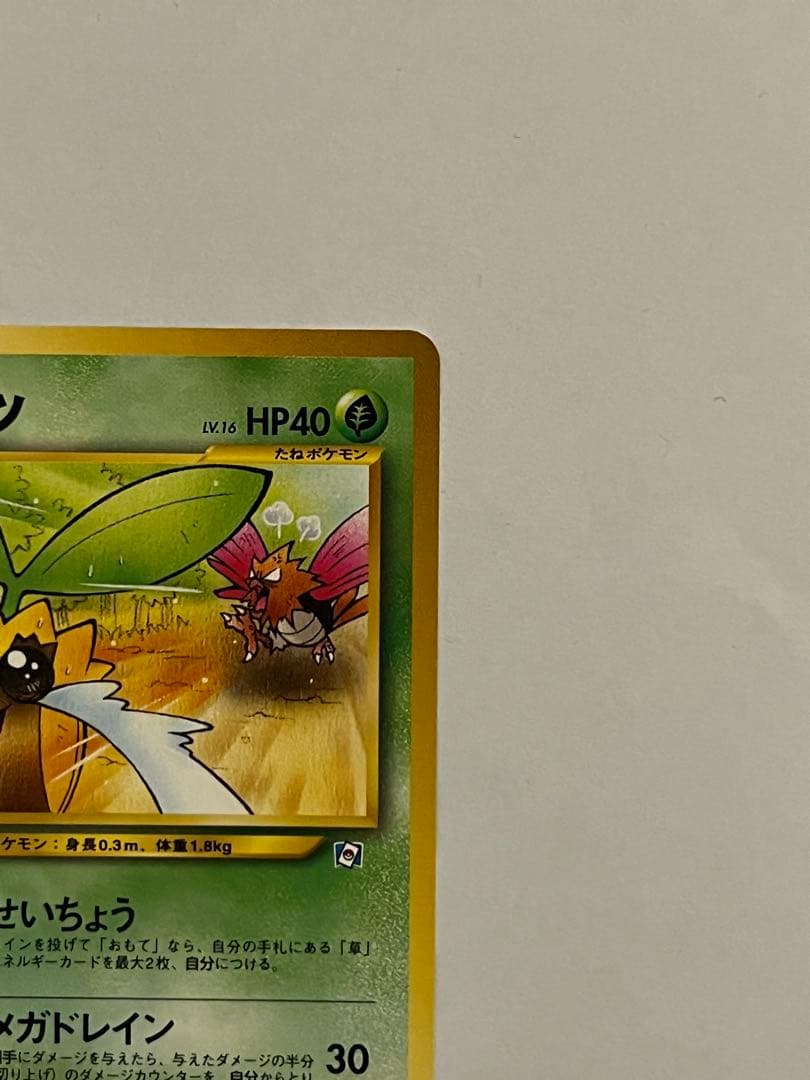 ヒマナッツ_「ポケモンカードになったワケ」おまけカード - メルカリ
