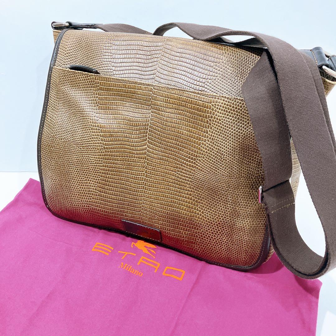 【逸品】ETRO レザー　メッセンジャー　ショルダーバッグ　蛇柄　型押し