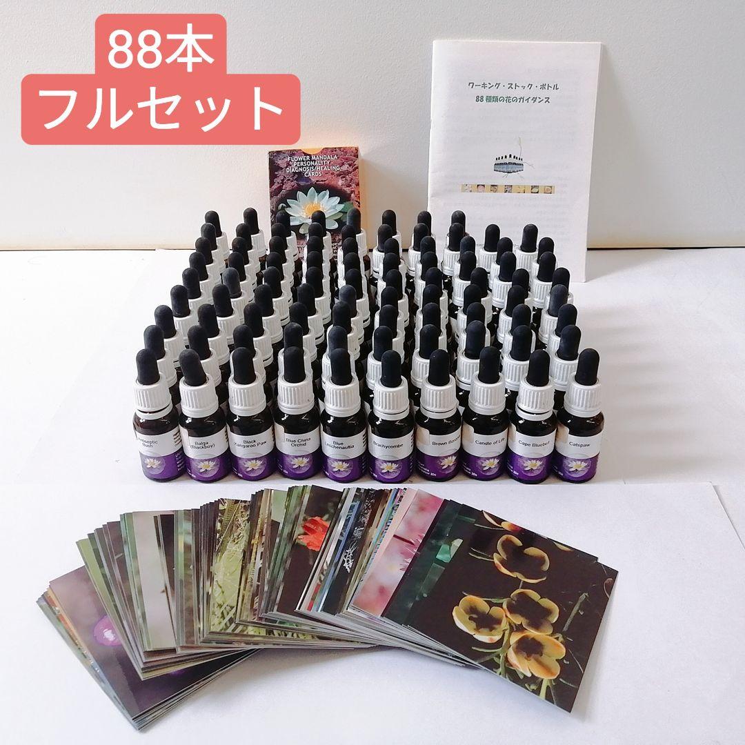 【難あり】88本ワールドフラワーエッセンス　花カード付き　レメディセット