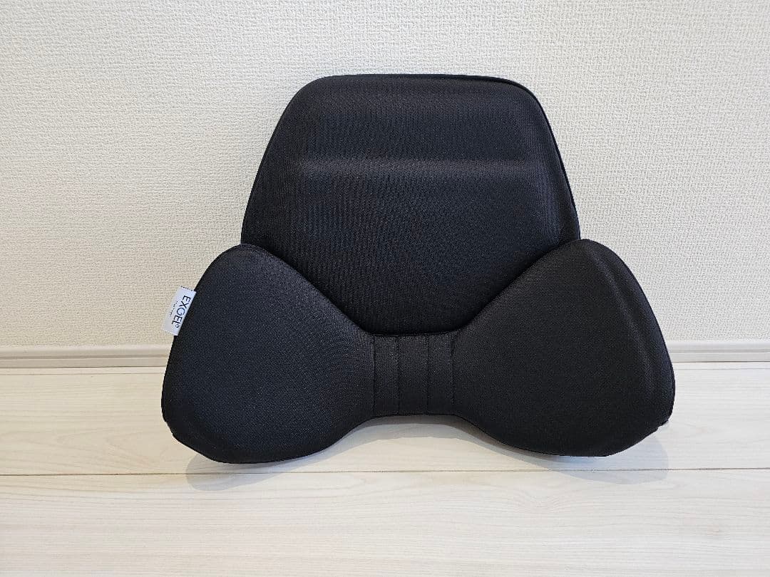 EXGEL ハグドライブバッククッション エクスジェル HUD01-BK