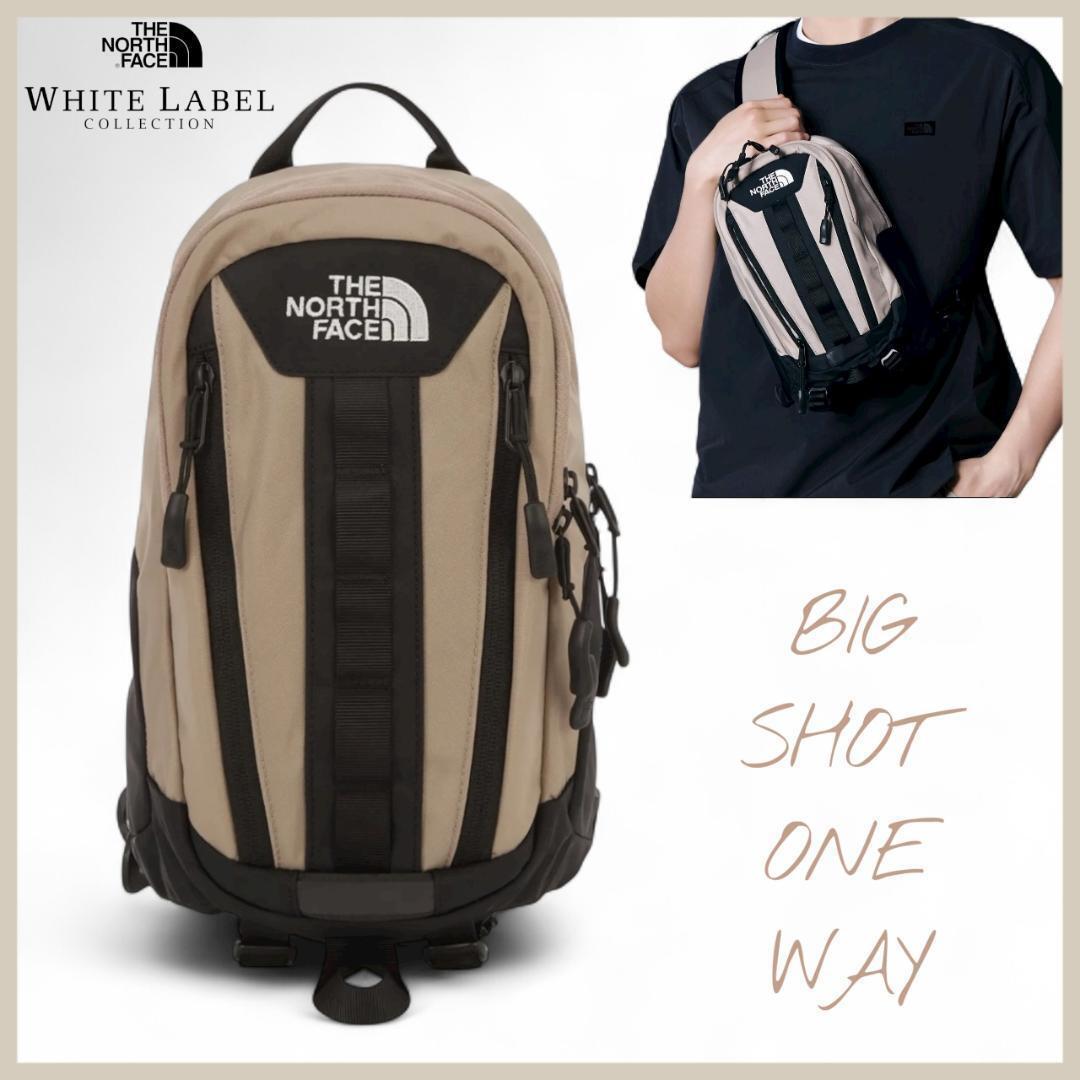 ノースフェイスBIGSHOT ONEWAY ビッグショットボディバッグ　ラスト