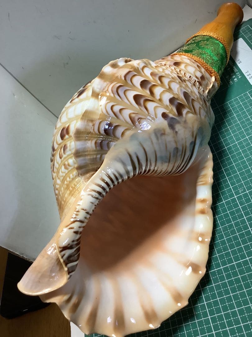 ヤフメリ62・法螺貝・山伏・修験者・戦国武将・豊臣兄弟・出羽三山・熊