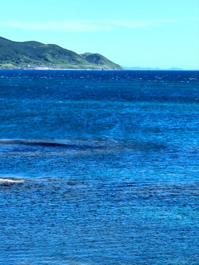 北海道 道の駅ピンズのみ2024版131駅2025年版コンプリート丸瀬布入り