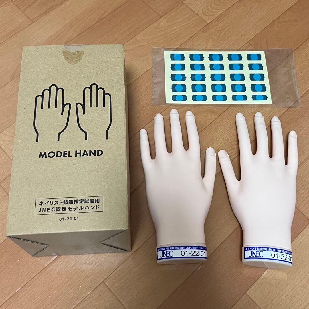 JNEC認定モデルハンド　箱付き