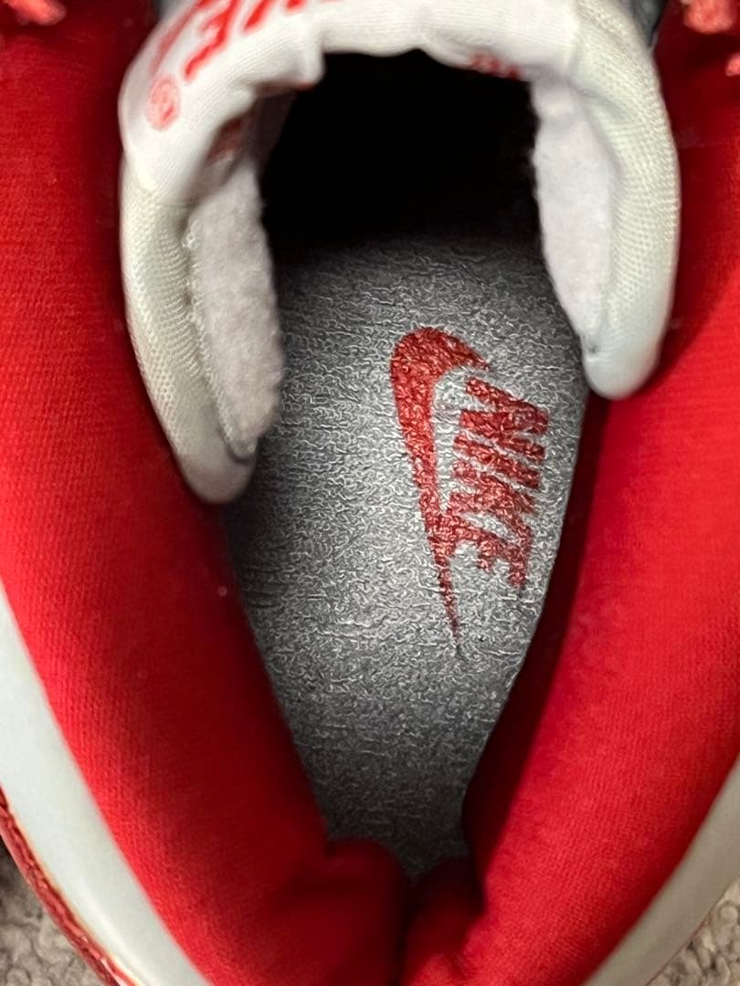 し*ん様 【超美品】1999年製NIKE DUNK HIGH LE NEVADA - メルカリ