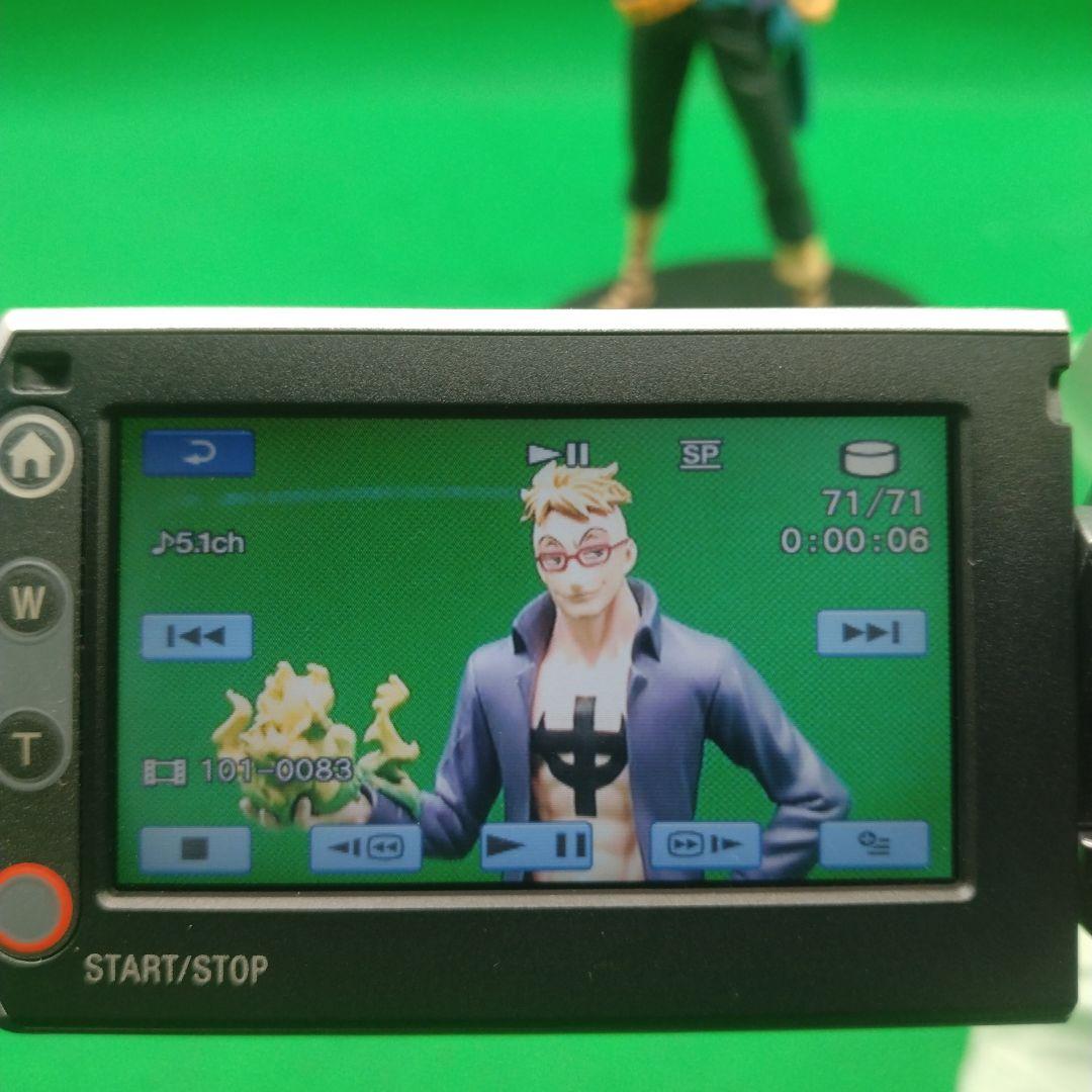 動作確認OK】ナイトショット付 SONY Handycam DCR-SR220動作OK