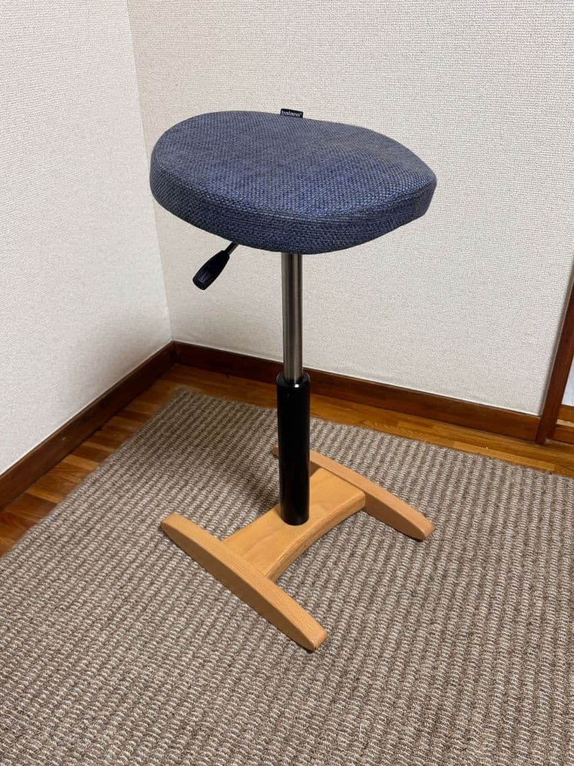 balans Synergy サイズ330mm + 358mm クッションチェア