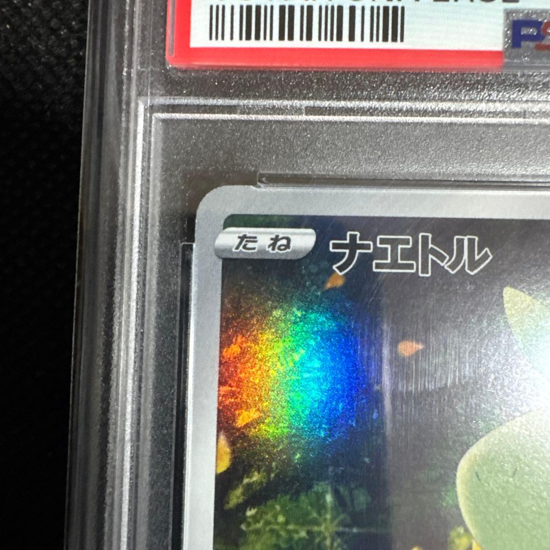 ナエトル AR PSA10 - メルカリ