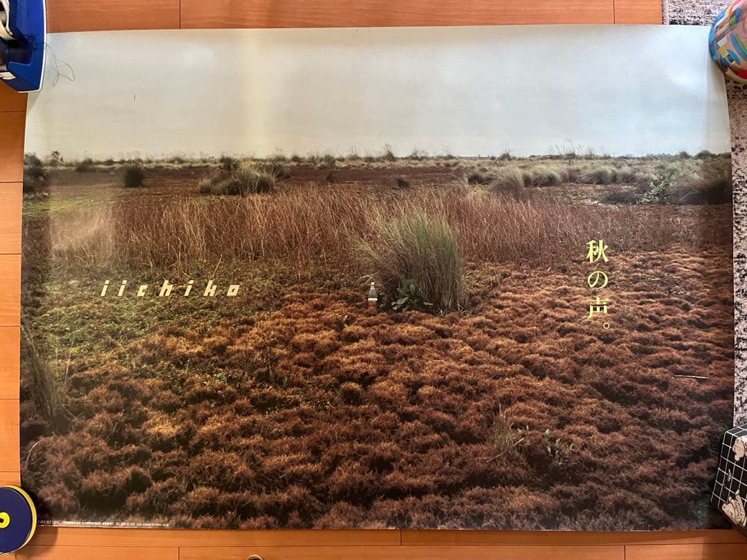 いいちこポスター 2枚セット - メルカリ