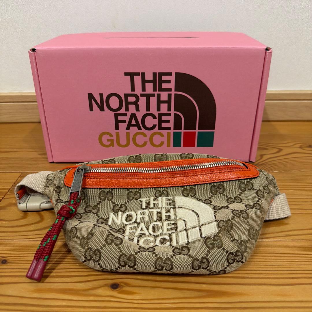 【入手困難　超美品】THE NORTH FACE x GUCCI コラボ