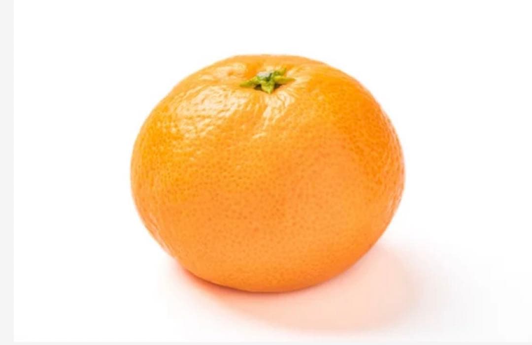 キャンメイクアイライナー　10本セット