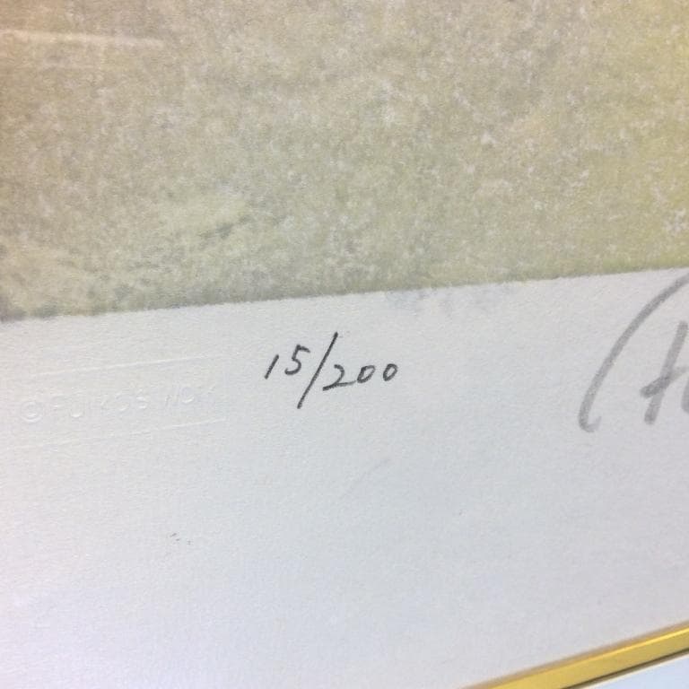 美品 フジ子・ヘミング 「猫十態 スージィー」直筆サイン・限定15/200