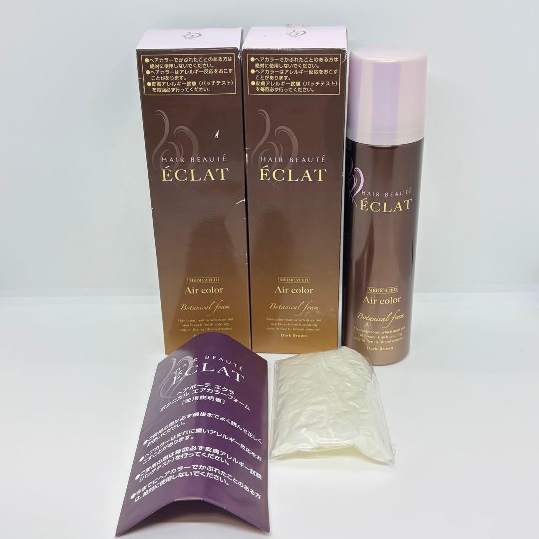 ⭐️未使用⭐️ボタニカルエアカラーフォーム ダークブラウン2点セット