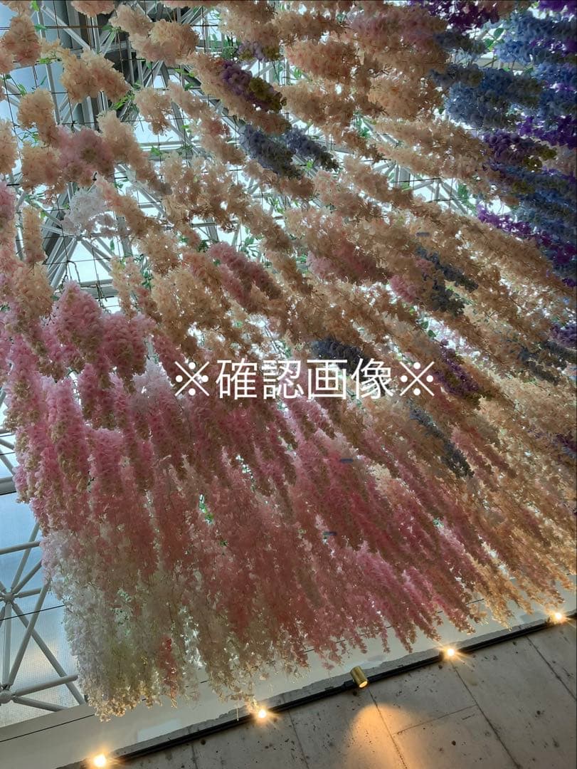 画像確認用 電子辞書「エクスワード（EX-word）」（生活・教養モデル・160