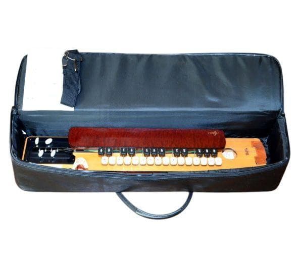 匿名配送☆大正琴 ライリッシュ LSS75 日本製 弦楽器 保管品 ケース付