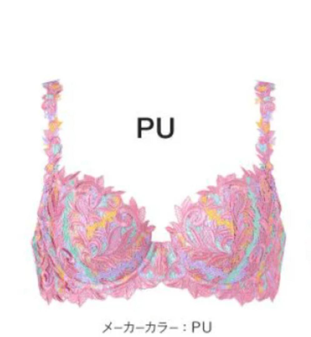 3点☆スタディオ ファイブ C75 M ショーツ 2枚 - メルカリ