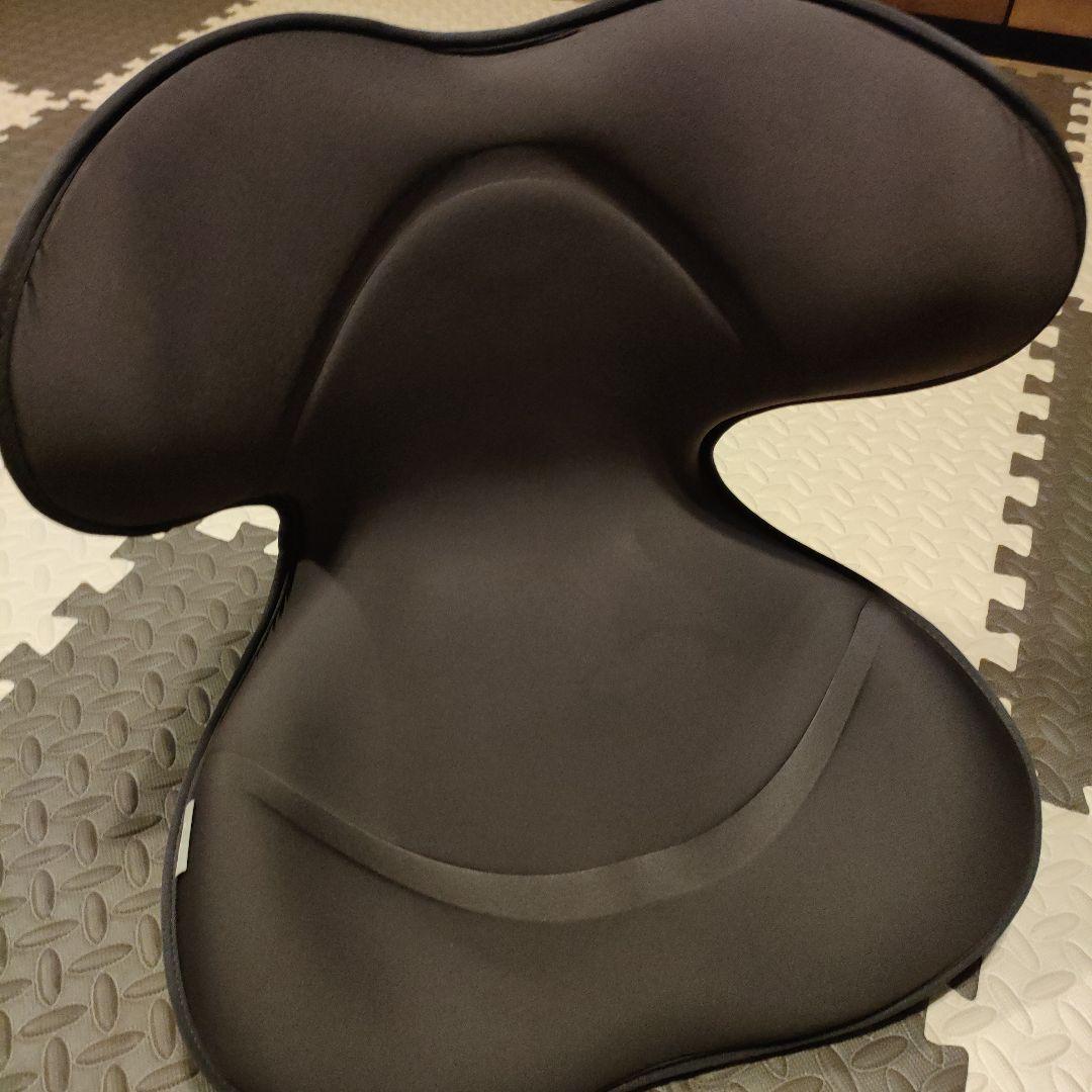 み*ち様 MTG StyIe SMART スタイル スマート 骨盤 矯正 ブラウ