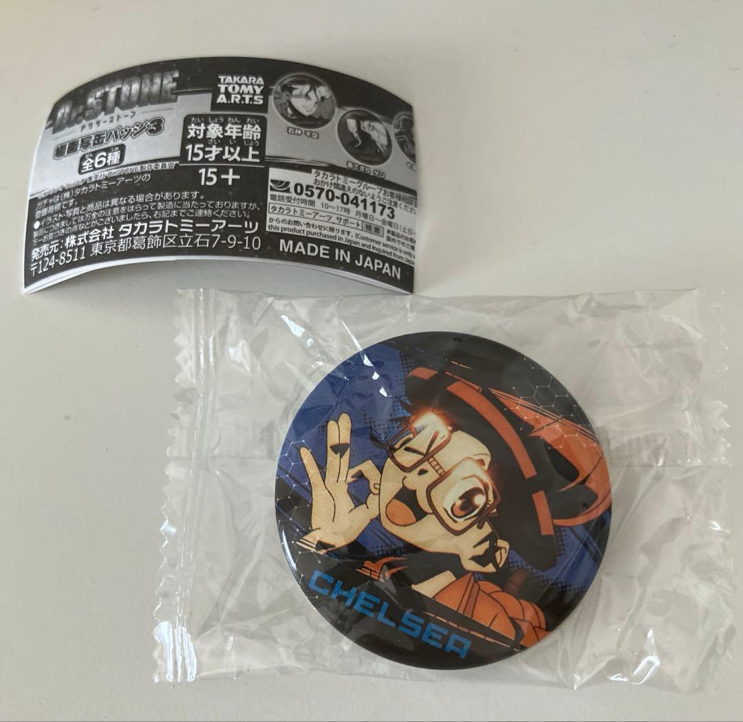 Dr.STONE 場面写缶バッジ3 チェルシー - メルカリ