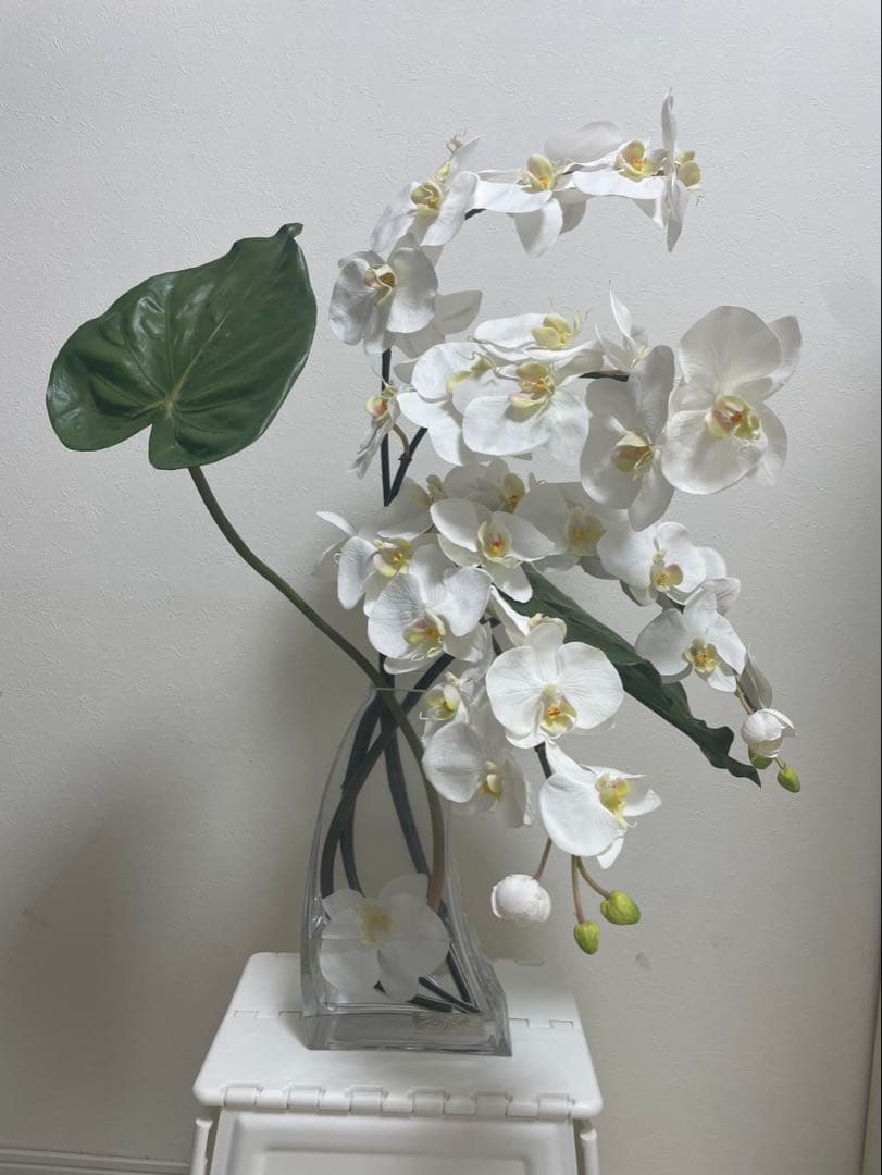 Aエミリオロバ ファレノプシス2L 胡蝶蘭 花 白フラワーアレンジメント