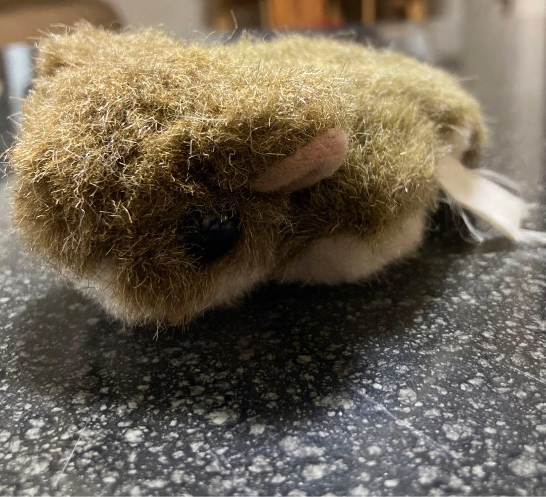 ALFA社NATURE LAND ムササビのぬいぐるみセット - メルカリ