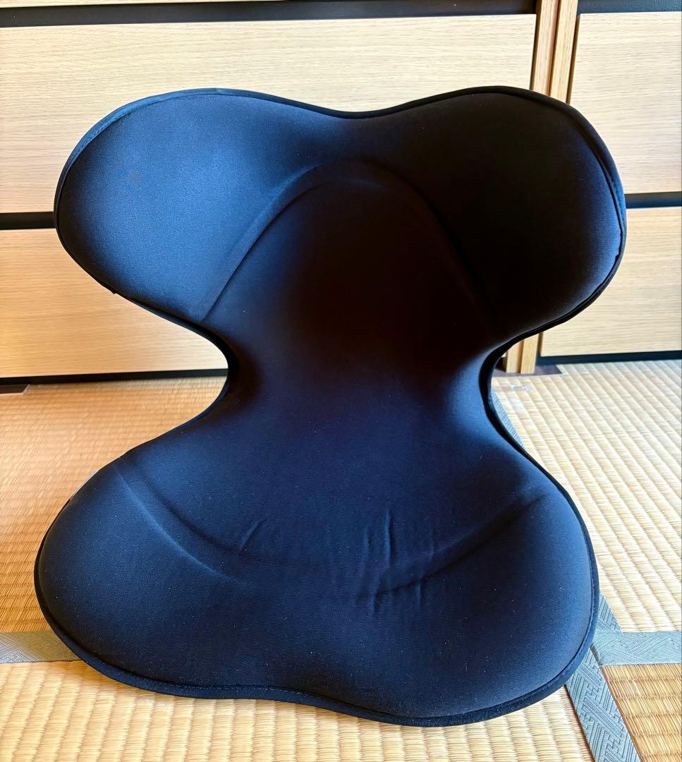 【匿名配送】★美品★MTG ボディメイクシート Style スマート 骨盤ケア