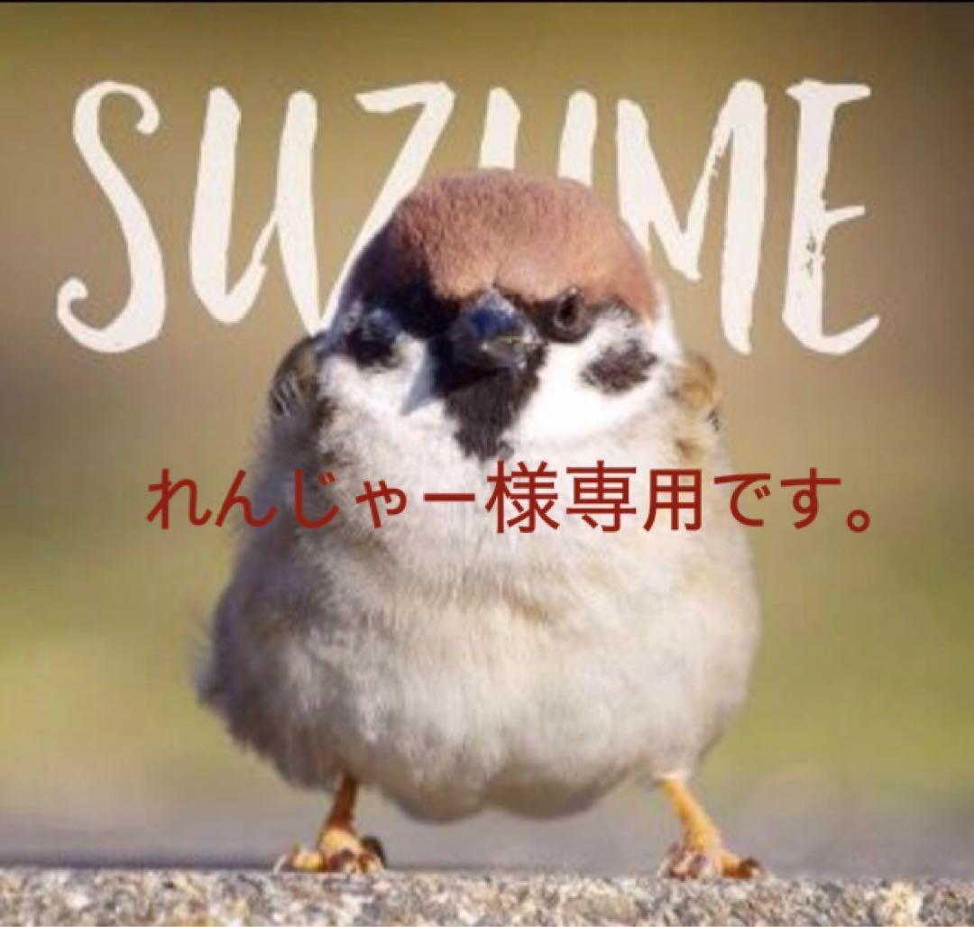 ホーネット250用シート　【れんじゃーです。】